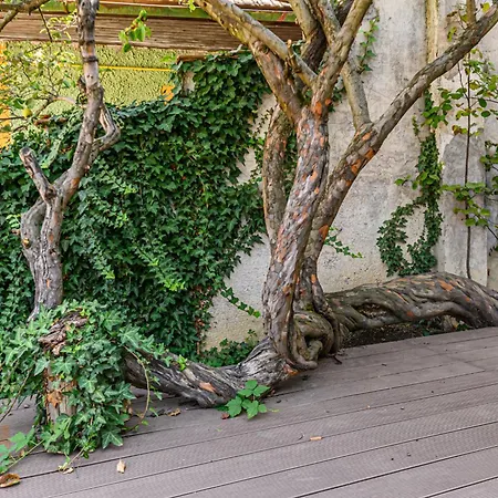 Lagom - Hot Tub Hideout *